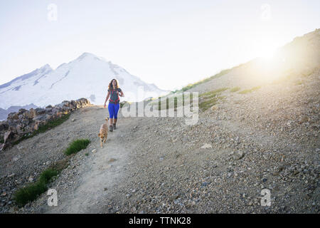 Female hiker with dog walking on mountain contre ciel clair au cours de journée ensoleillée Banque D'Images