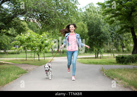 Propriétaire avec son chien dalmatien walking outdoors Banque D'Images