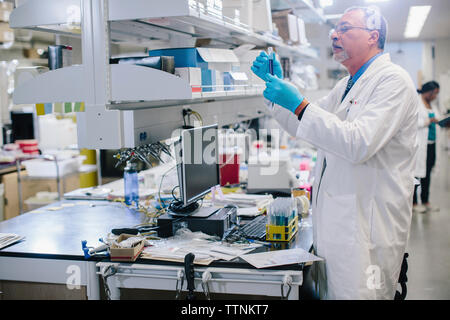 Doctor examining test tubes in laboratory Banque D'Images