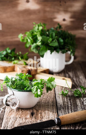 Les frais menthe bio, aneth, persil, coriandre. et d'herbes aromatiques culinaires dans l'usine rurale blanc mug sur table en bois, jardins familiaux, Close up, Banque D'Images