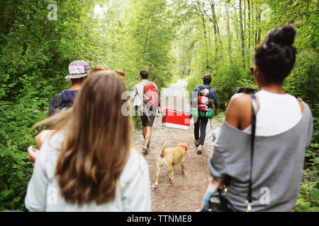 Vue arrière du sac à dos avec des amis marche sur chemin de terre au milieu d'arbres Banque D'Images