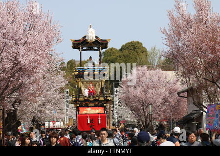 Trois niveaux à flotteur du Printemps d'Inuyama au Japon avec cerisiers Banque D'Images