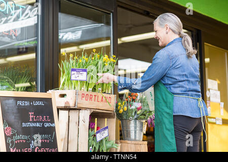 Vue latérale du senior woman pulvériser de l'eau sur les plantes tout en travaillant Banque D'Images