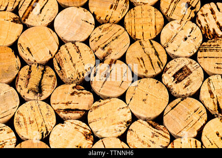 Des dizaines de Wine Corks livré à partir de la fin du point de vue. le bouchon dans le sens du grain varie énormément Banque D'Images