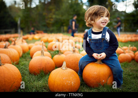 Smiling baby boy sitting on ferme à la citrouille Banque D'Images