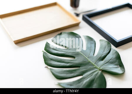 High angle view of photo châssis avec feuille de monstera par plateau en bois disposés sur fond blanc Banque D'Images