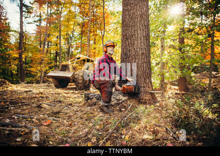 Lumberjack homme tronc de l'arbre de coupe avec scie à forest Banque D'Images