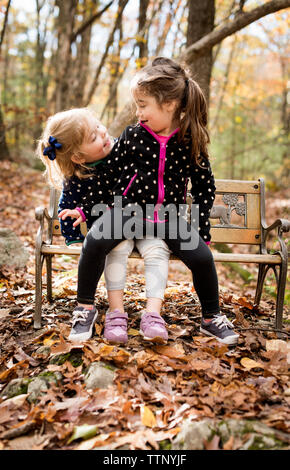 Sœurs à l'un l'autre tout en restant assis sur un banc en forêt en automne Banque D'Images