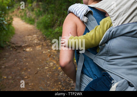 Vue arrière du mère portant son bébé en transport lors de la marche en forêt Banque D'Images