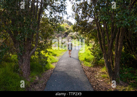 Vue arrière du couple fils en poussette marche sur sentier au milieu d'arbres à forest Banque D'Images