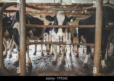 Farmer shed Banque D'Images