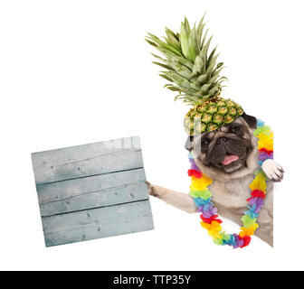 Drôle d'été chien frolic pug avec guirlande de fleurs hawaïennes et ananas hat, holding panneau en bois, isolé sur fond blanc Banque D'Images