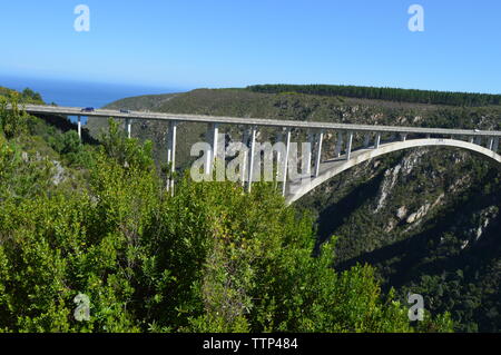 Bloukrans bunjee jumping bridge est un pont en arc situé près de Nature's Valley et dans Knysna Garden Route Western Cape en Afrique du Sud Banque D'Images