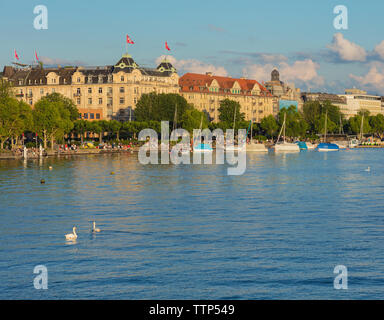 Zurich, Suisse - 16 juin 2019 : le lac de Zurich au coucher du soleil, les gens sur ses quais, bâtiments de la ville de Zurich à l'arrière-plan. Lac de Zurich je Banque D'Images