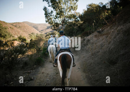 Vue arrière d'amis l'équitation en montagne Banque D'Images