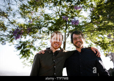 Low angle portrait of happy handsome frères avec les bras autour de l'article contre des arbres au parc Banque D'Images