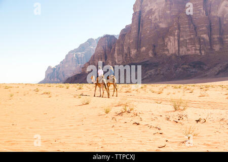 Circonscription d'amis dans le désert à dos de chameau contre ciel clair Banque D'Images