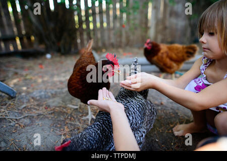 L'alimentation des poules sur les soeurs Banque D'Images