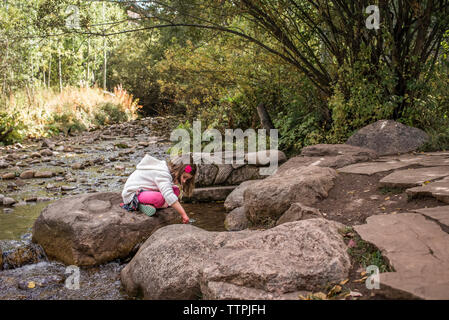 Vue latérale du girl sitting on rock par rivière en forêt Banque D'Images