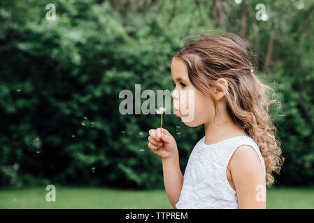 Close-up of girl blowing dandelion en se tenant sur le terrain Banque D'Images