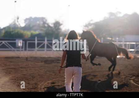 Vue arrière de la femme cheval formation au ranch Banque D'Images