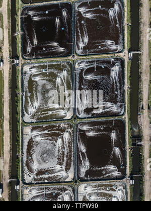 Vue aérienne de la ferme de crevettes Banque D'Images