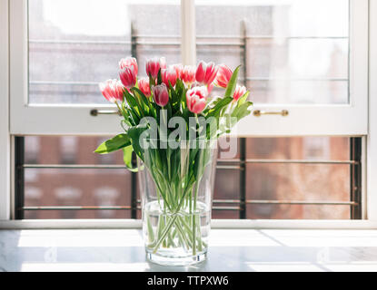 Tulipes fraîches dans un vase sur la fenêtre Banque D'Images