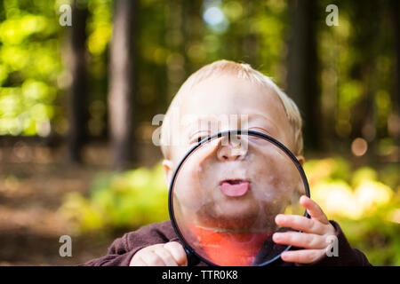 Close-up of boy holding magnifying glass while standing in forest Banque D'Images