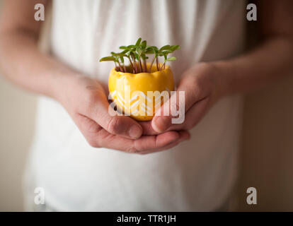 Portrait of Girl holding potted plant en position debout par wall à la maison Banque D'Images