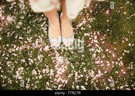 La section basse de femme debout sur le champ avec des pétales de fleurs Banque D'Images