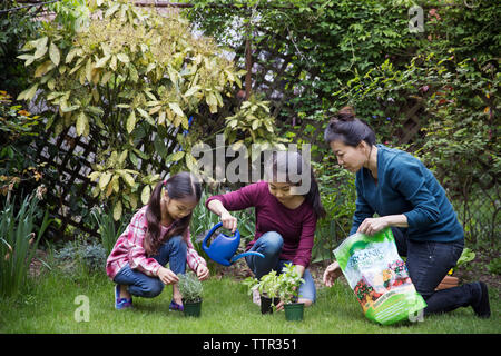 Aider la mère des filles dans les travaux de jardinage à yard Banque D'Images
