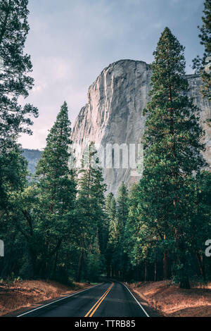 Perspective de diminution de la route vide contre montagne à Yosemite National Park Banque D'Images