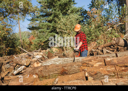 Bûcheron couper du bois avec une scie à chaine Banque D'Images