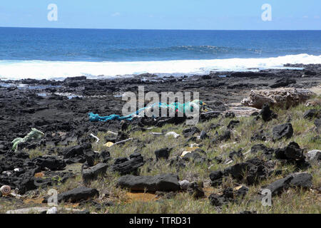 Le rivage en plastique à Papakolea, Kau, Hawaii Island Banque D'Images