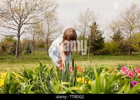 Cute girl picking des fleurs d'un champ Banque D'Images