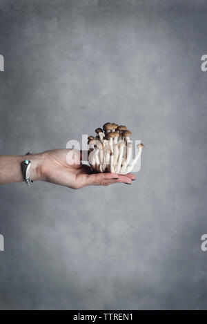 Portrait de femme tenant contre champignons shimeji mur gris Banque D'Images