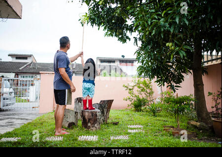 Père Fils aidant à ramasser les mangues de l'arbre à l'arrière-cour Banque D'Images