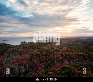 Vue panoramique sur les arbres qui poussent dans la forêt contre ciel nuageux pendant le coucher du soleil Banque D'Images