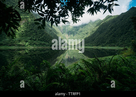 Vue panoramique du lac calme au milieu des montagnes à forest Banque D'Images