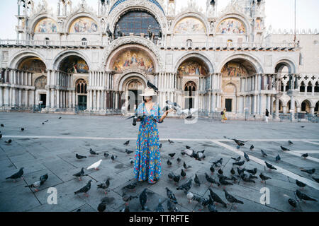 Permanent au milieu d'oiseaux percheurs sur sentier contre la Basilique St Marc Banque D'Images