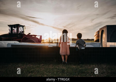 Vue arrière de la fratrie debout sur les champs à la ferme contre le ciel au coucher du soleil Banque D'Images