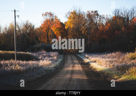 Chemin de terre en milieu rural à travers les arbres d'automne dans le sud du Michigan Banque D'Images