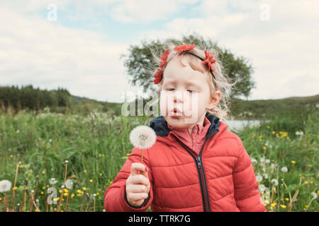Girl blowing dandelion en se tenant sur le terrain Banque D'Images