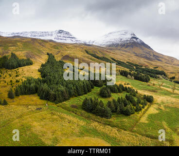 Vue de drone green sapin bois poussant sur des terres sauvages près de stone Hills dans la Neige et ciel nuageux Banque D'Images