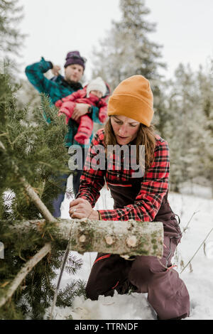 Père fille comptable alors que la coupe femme pin en forêt durant l'hiver Banque D'Images