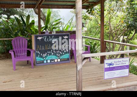 Ali'i Kula Lavender Farm à Maui, Hawaii Banque D'Images