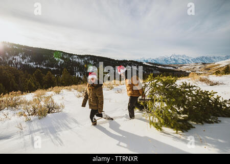 Jeune couple en puffy jaquettes et santa hats randonnée pédestre avec arbre de Noël Banque D'Images