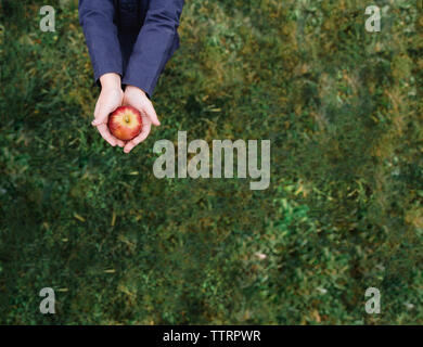 Portrait of Girl holding apple en se tenant sur le terrain herbeux de l'orchard Banque D'Images