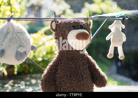 Close-up de jouets rembourrés, hanging on clothesline Banque D'Images