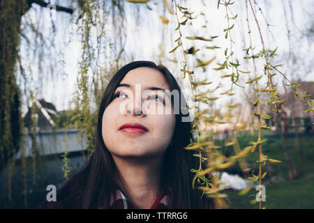 Mixed Race woman est debout en vertu de l'arbre au printemps. Banque D'Images